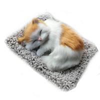 Minderde uyuyan sesli orta boy kedi 