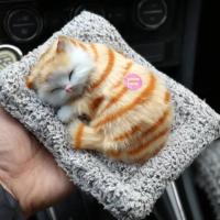 Ufak boy minderde uyuyan kedi sesli